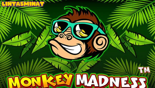 Slot Monkey Madness: Game Seru Penuh Kegembiraan